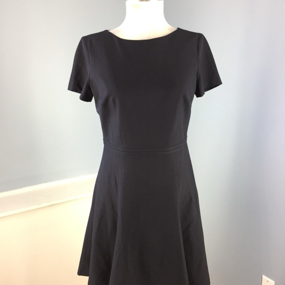 Ann Taylor Fit and Flare Dress